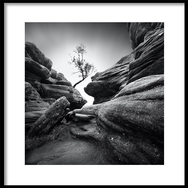 Poster - Stubbornness