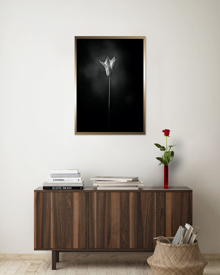 Poster - Bloom in The Light
