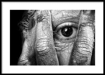 Poster - Reflections