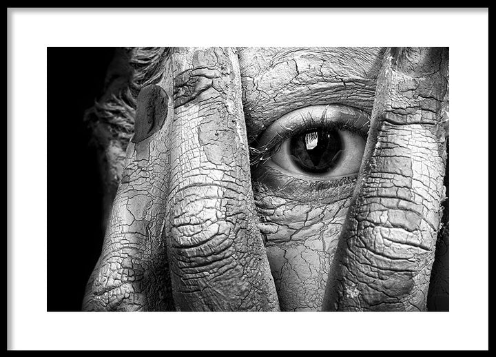 Poster - Reflections