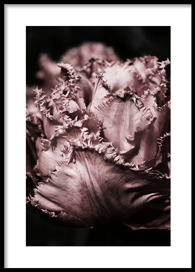 Poster - Flourish