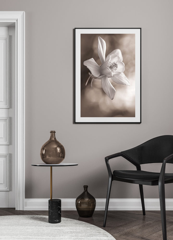 Poster - Flush