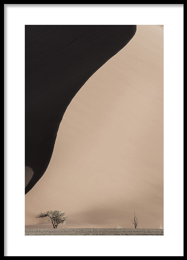 Poster - Disparity