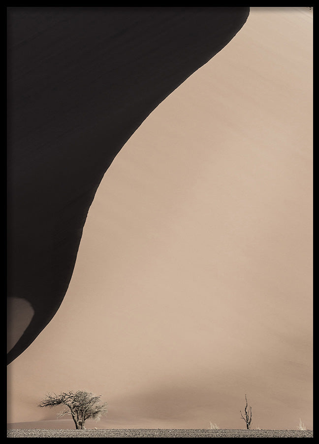 Poster - Disparity