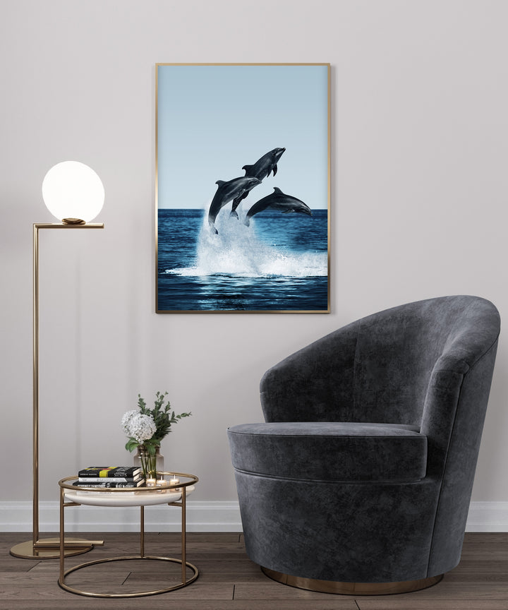Poster - Dolphins