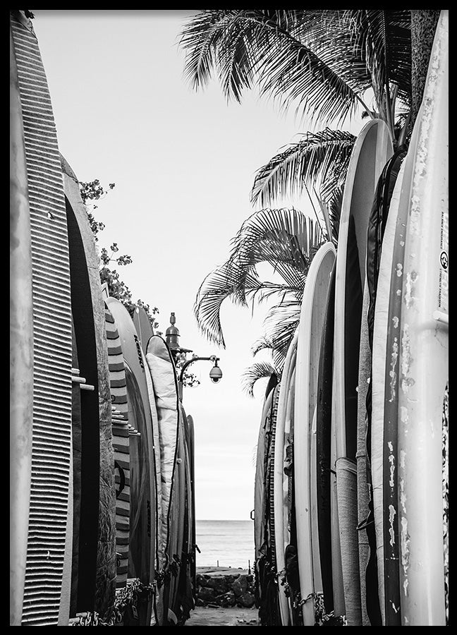 Poster - Hilo