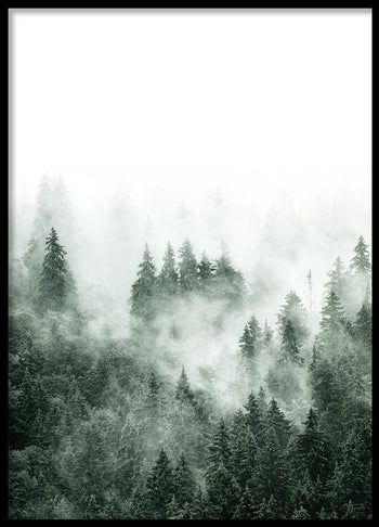 Poster - Fuji