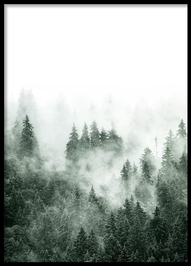 Poster - Fuji