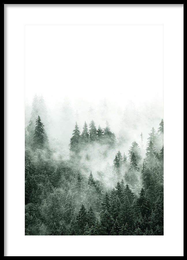 Poster - Fuji
