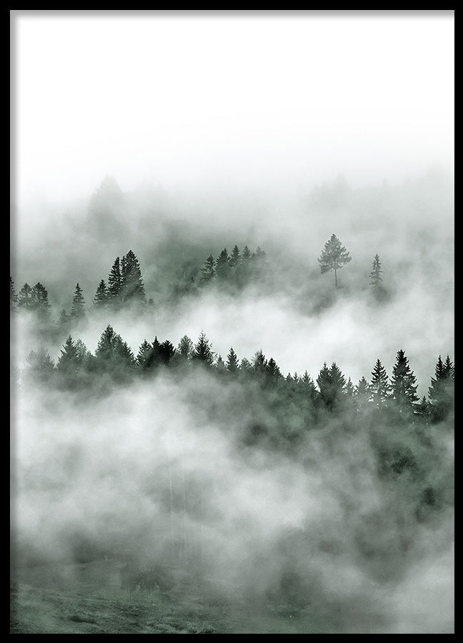 Poster - Peak