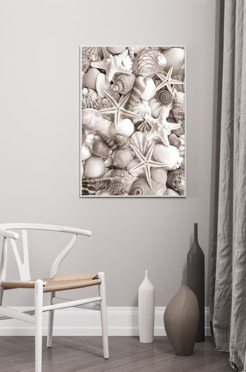 Poster - Sea Life