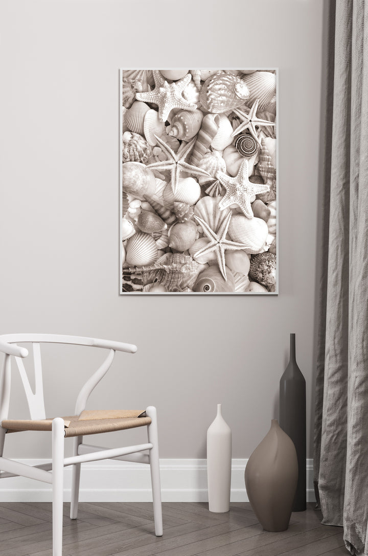 Poster - Sea Life