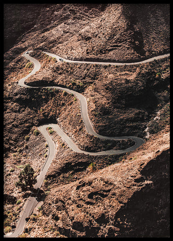 Poster - Serpentine