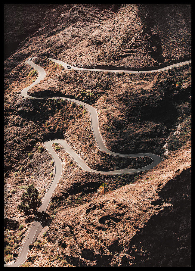 Poster - Serpentine