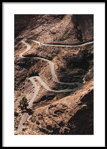 Poster - Serpentine