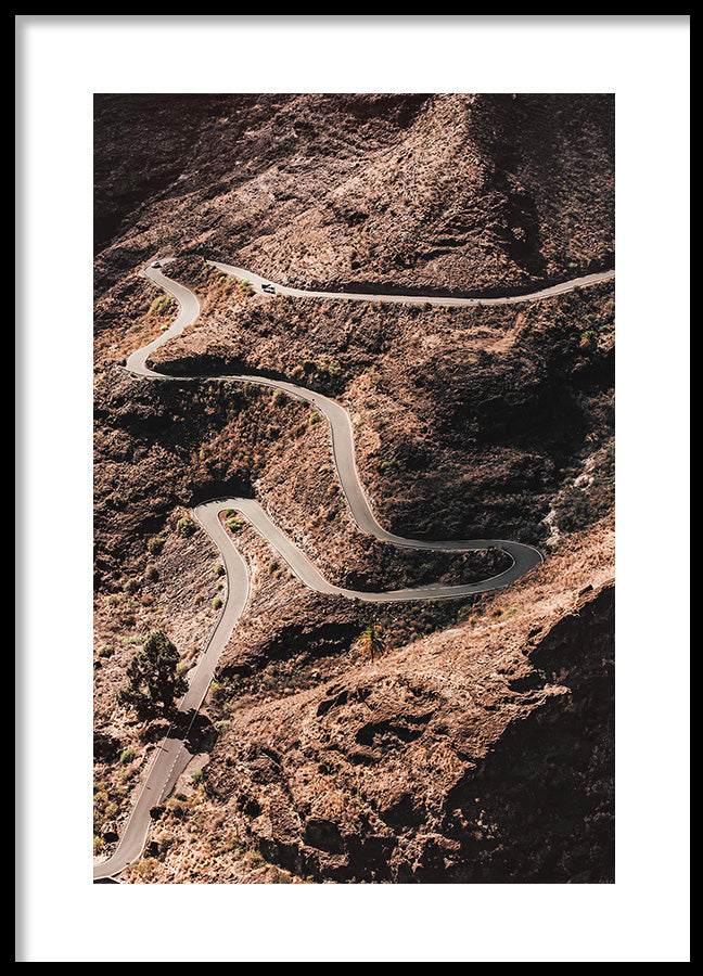 Poster - Serpentine