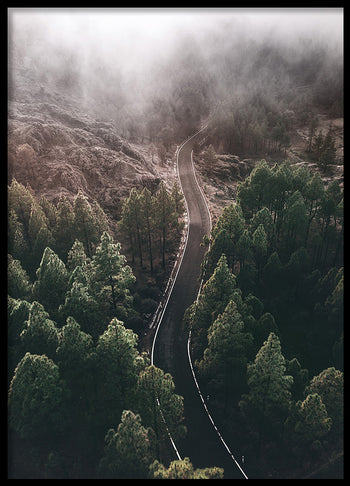 Poster - Woodland