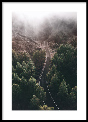 Poster - Woodland