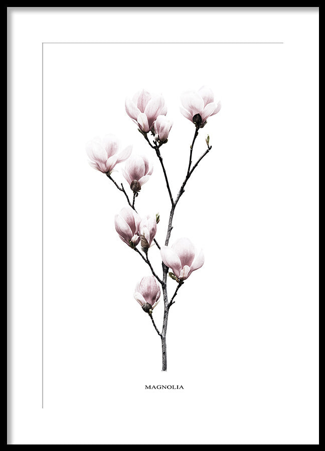 Poster - Twig