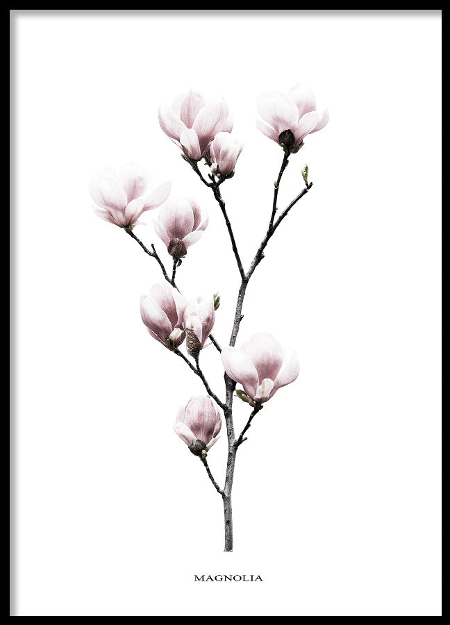 Poster - Twig