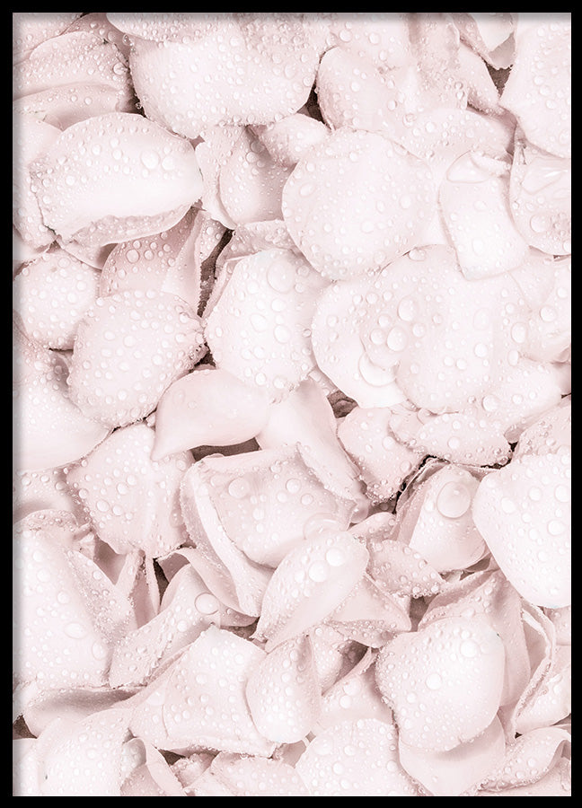 Poster - Blush