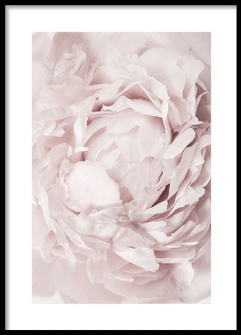 Poster - Reverie