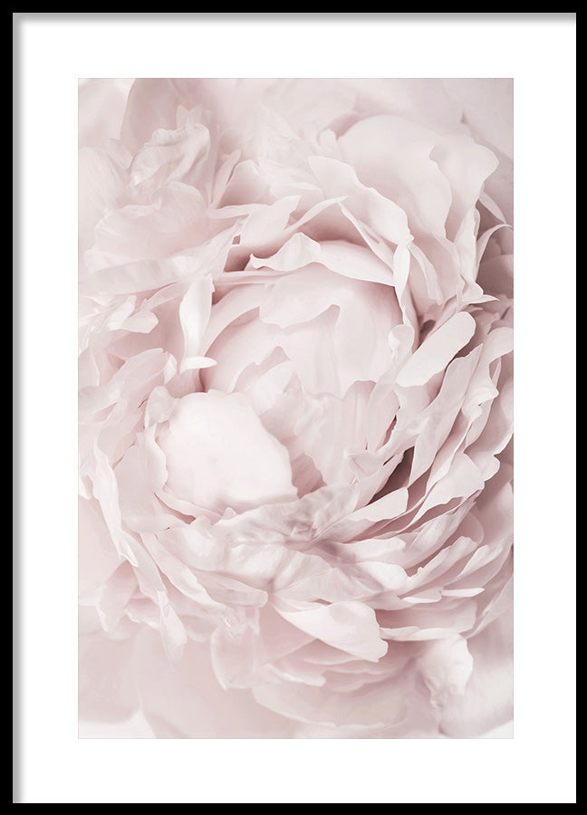 Poster - Reverie