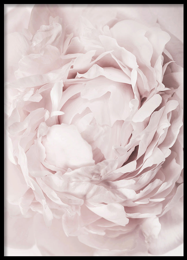 Poster - Reverie
