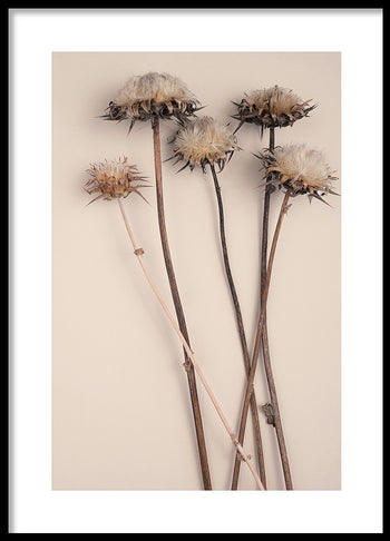 Poster - Preserve