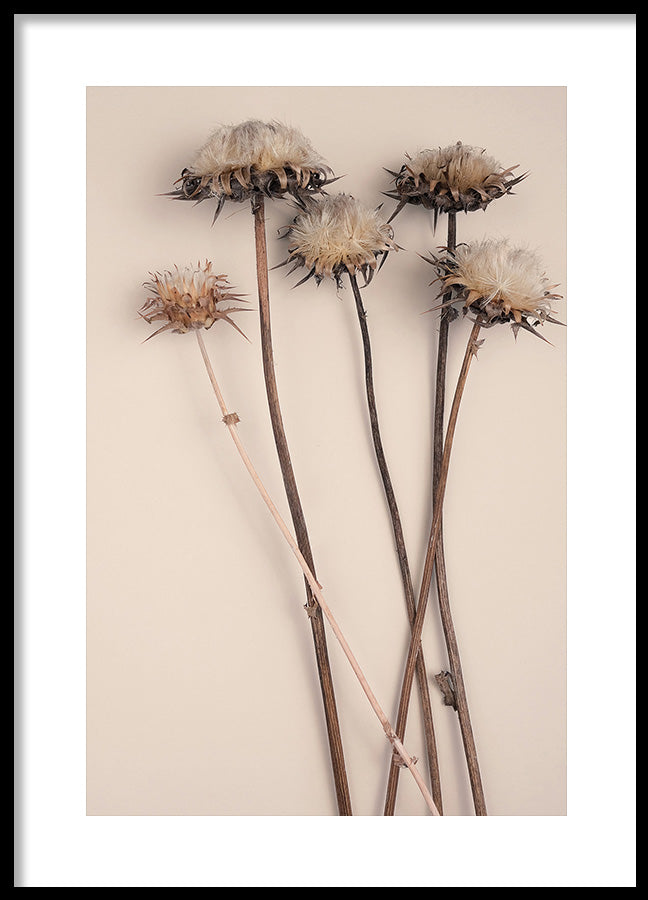 Poster - Preserve