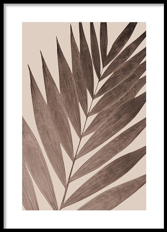 Poster - Stipule