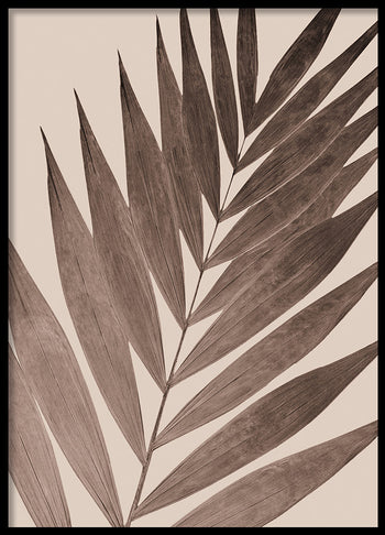 Poster - Stipule