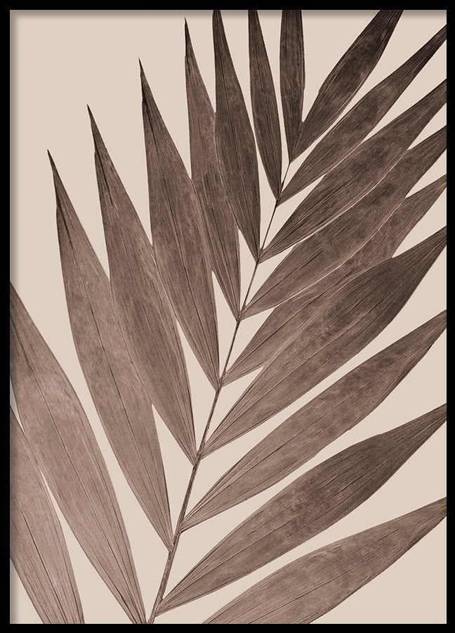Poster - Stipule
