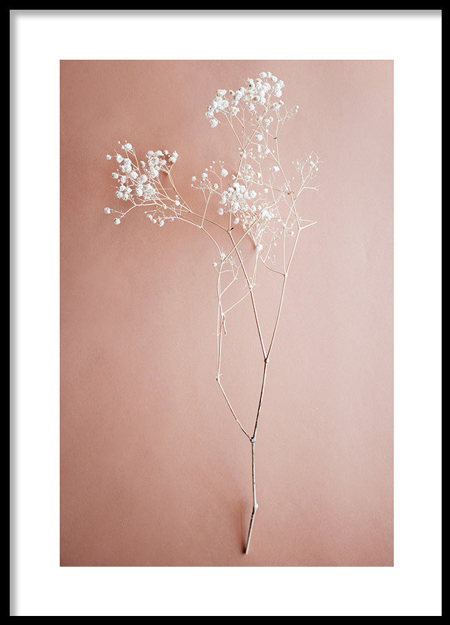 Poster - Unfold