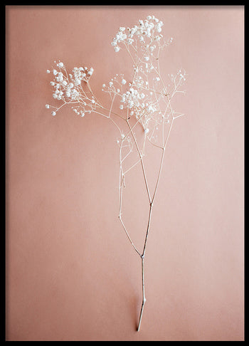 Poster - Unfold