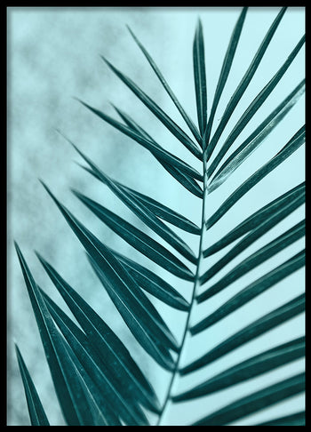 Poster - Palm