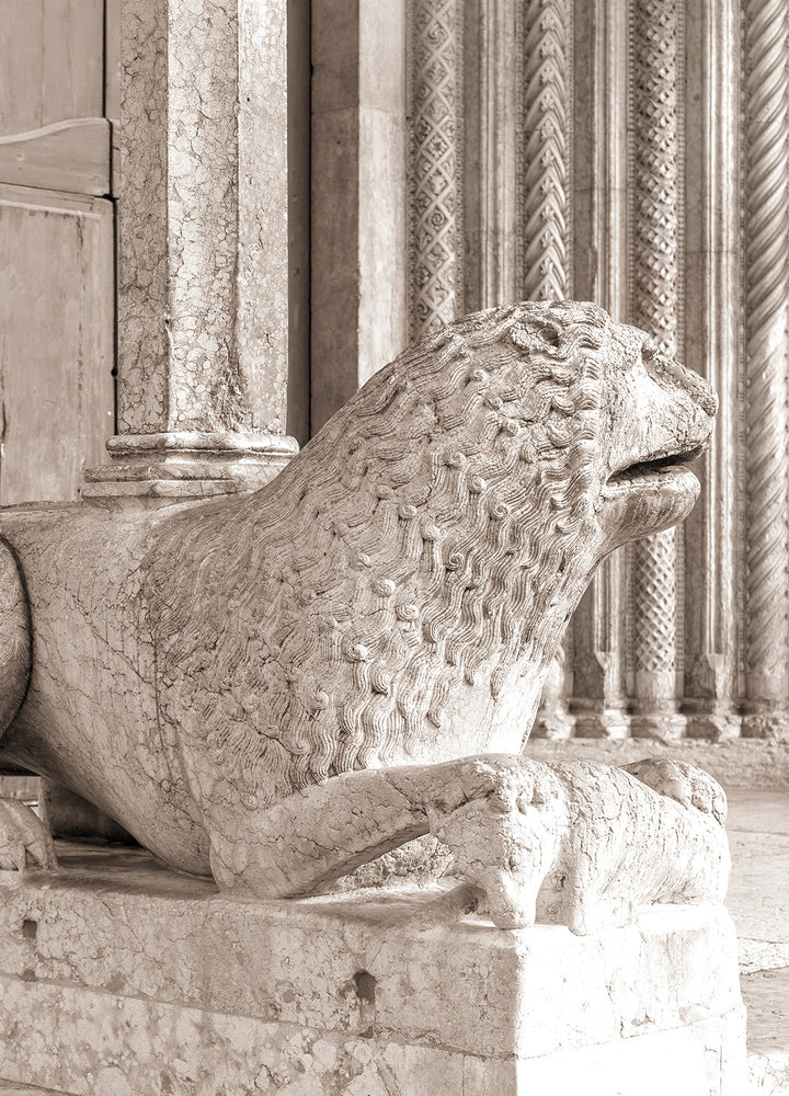 Tavla - Leo
