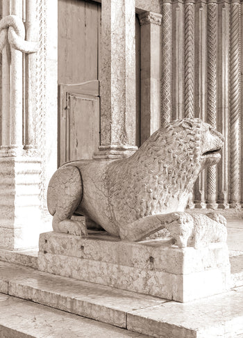 Tavla - Leo
