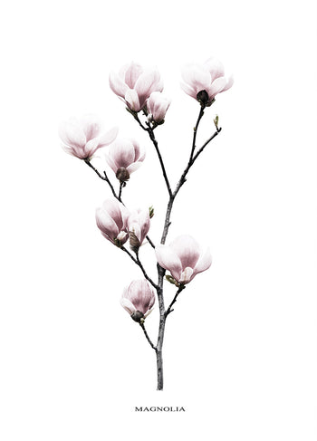Canvastavla - Twig