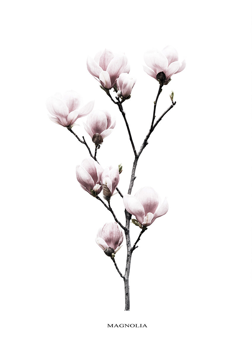 Canvastavla - Twig