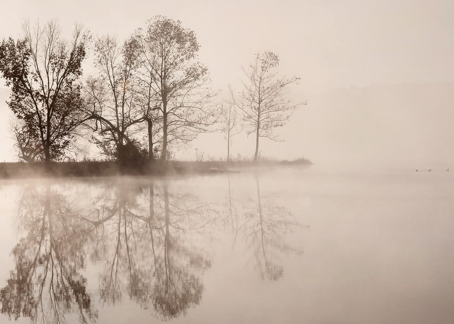 Canvastavla - Poetic Lake