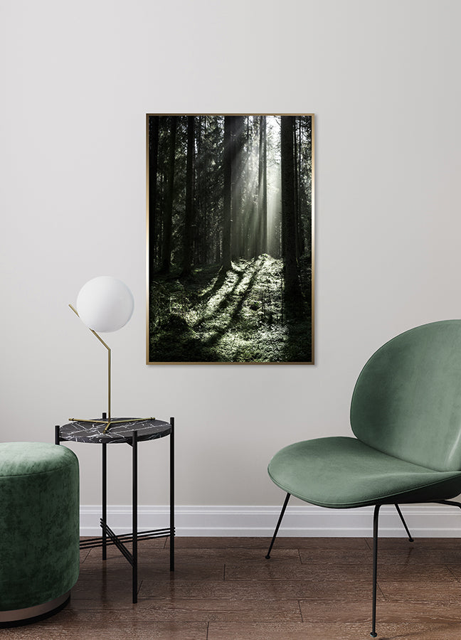 Poster - Sun Rays