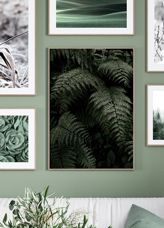 Poster - Fern Forest