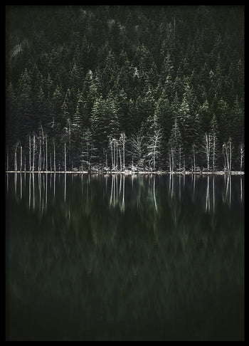 Poster - Moody Forest