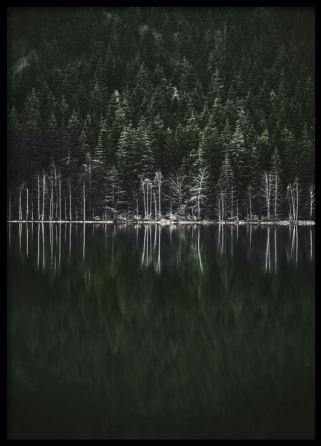Poster - Moody Forest