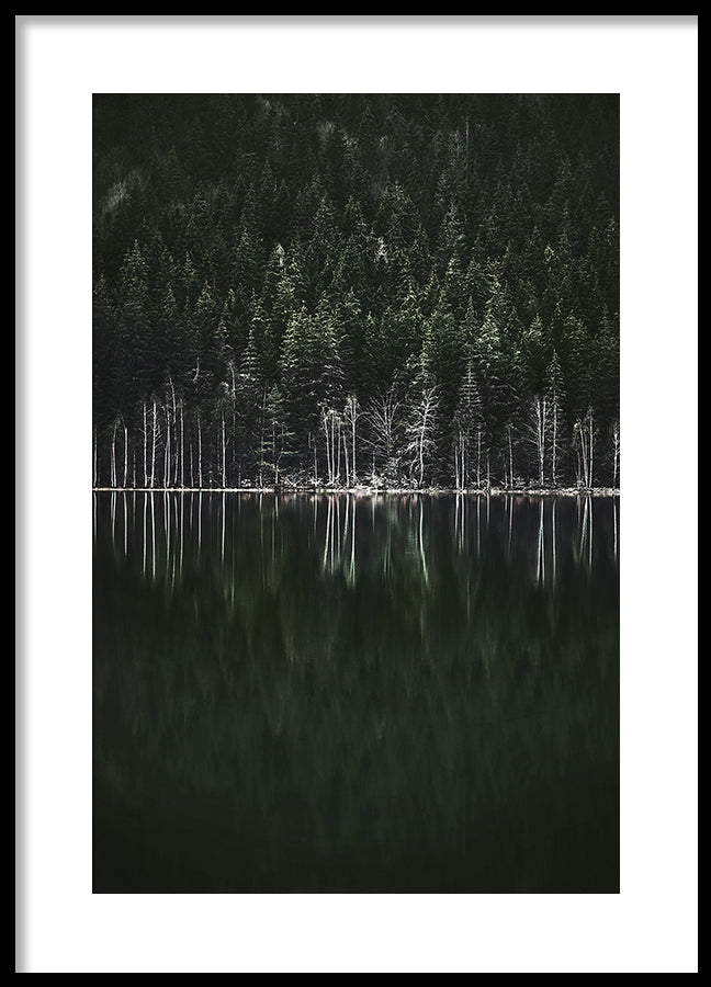Poster - Moody Forest