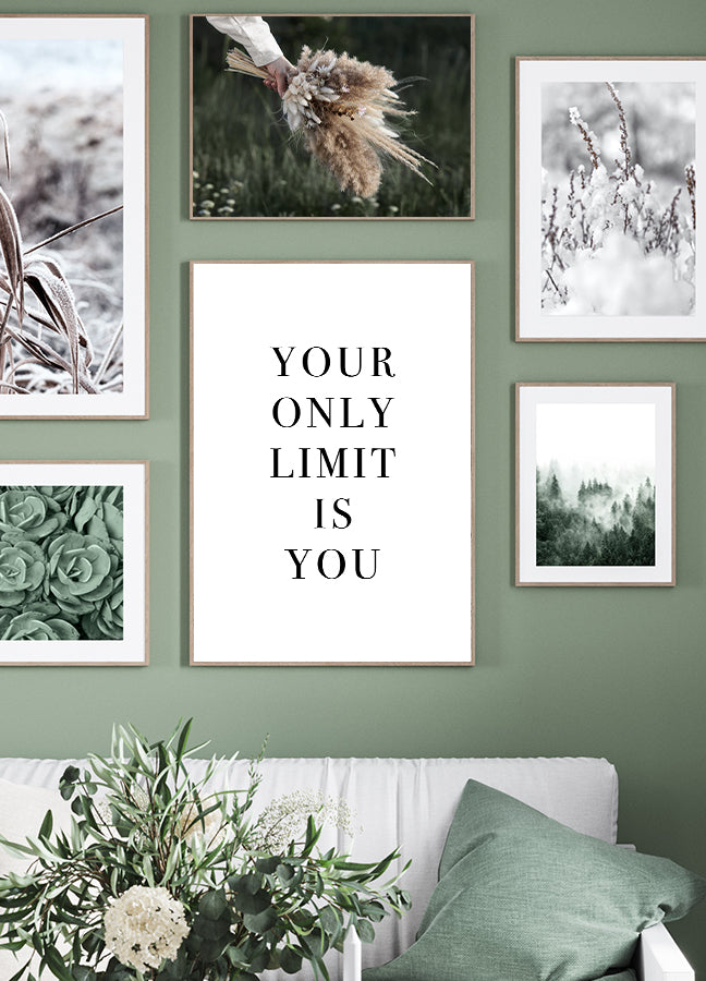 Poster - Plants and Flowers
