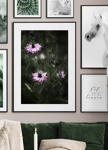 Poster - Forest Fruits