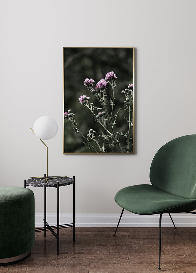 Poster - Thistles