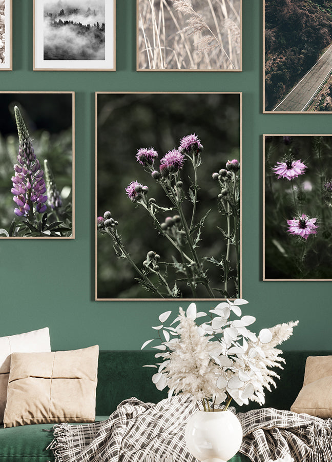 Poster - Thistles